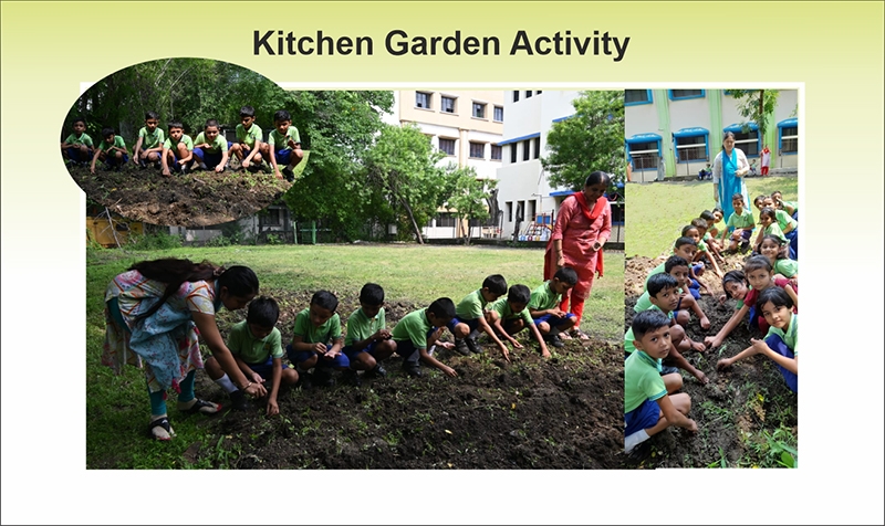 kitchen-garden